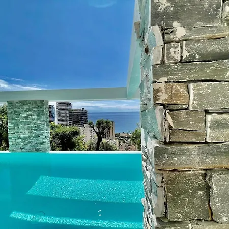 Studio Neuf Avec Piscine Monaco *
